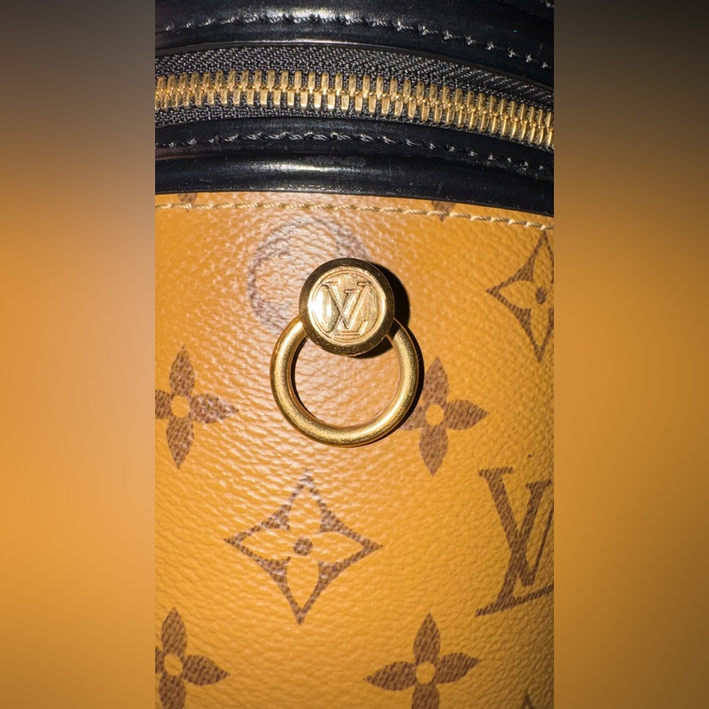 Authentic Louis Vuitton Cannes Monogram Reverse Canvas Bag - Picture 9 of 16